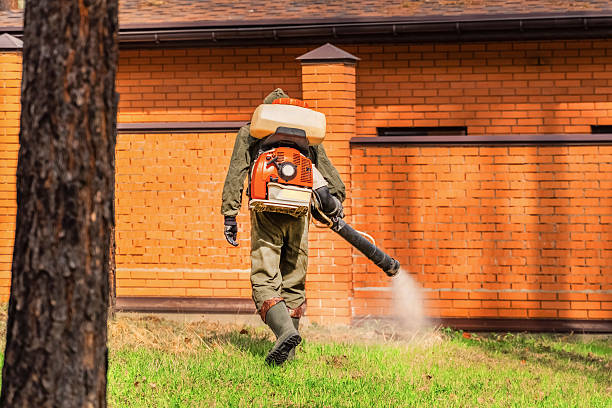 Trusted Bed Bug Control service in Kokomo, IN - Nex Pest Control